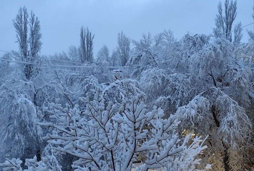 Ряд климатологов сходится во мнении, что грядущая зима будет достаточно холодной и снежной - правда, с бурными оттепелями