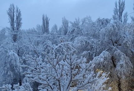 Ряд климатологов сходится во мнении, что грядущая зима будет достаточно холодной и снежной - правда, с бурными оттепелями