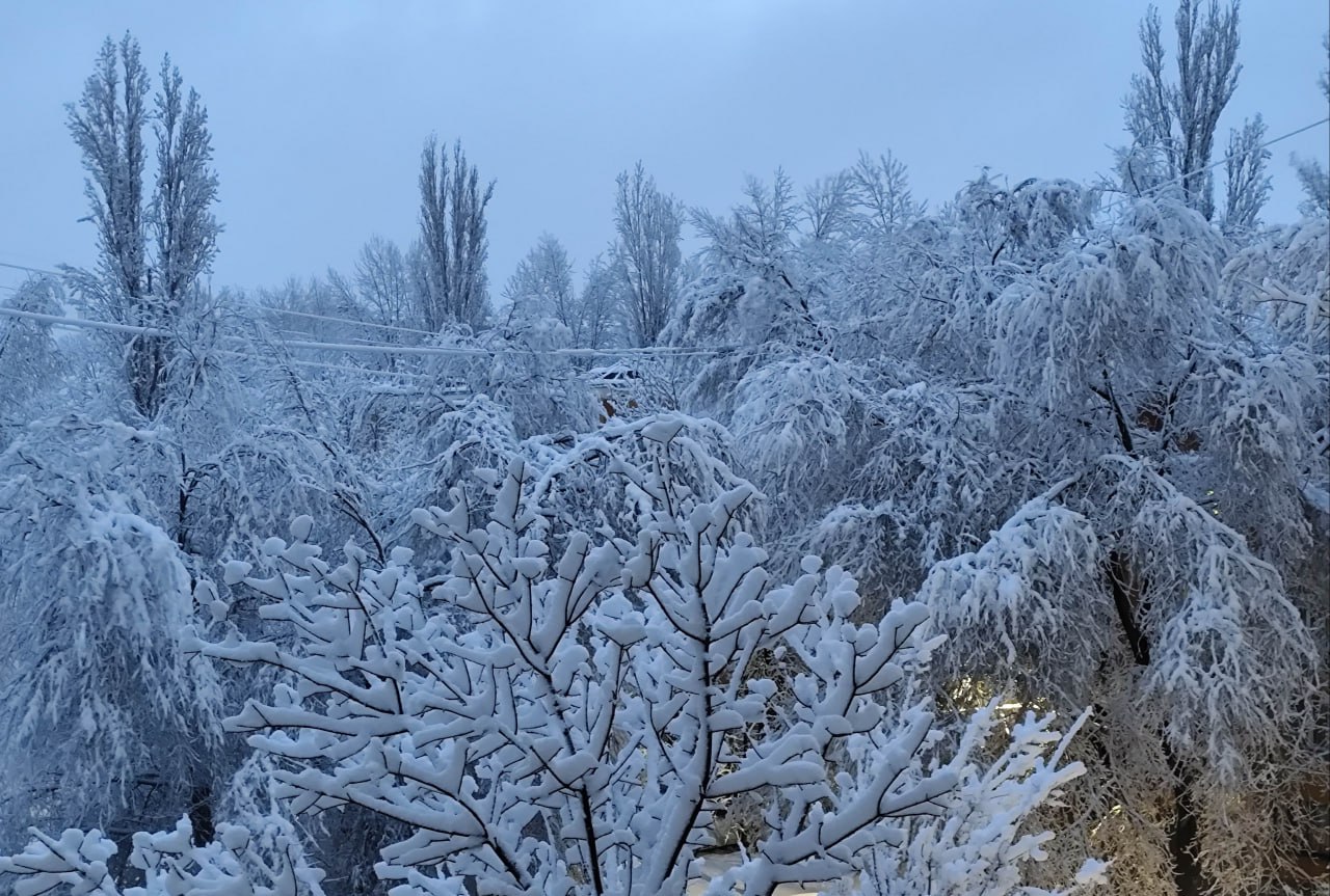 Ряд климатологов сходится во мнении, что грядущая зима будет достаточно холодной и снежной - правда, с бурными оттепелями