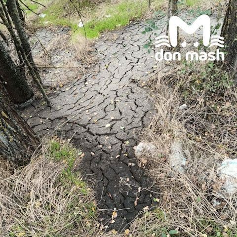 МинЖКХ заявило, что следит за вывозом твердых отходов после закрытия полигона в Семикаракорском районе МинЖКХ заявило, что следит за вывозом твердых отходов после закрытия полигона в Семикаракорском районе