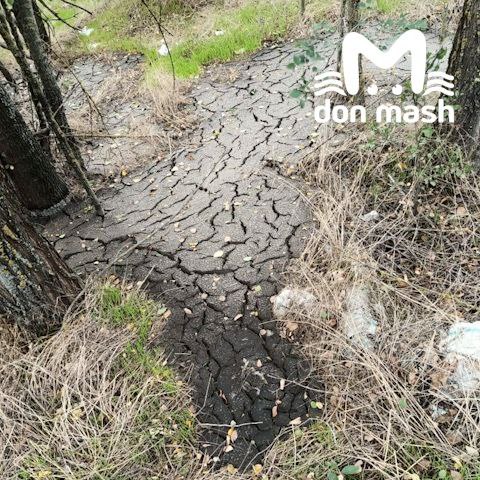 МинЖКХ заявило, что следит за вывозом твердых отходов после закрытия полигона в Семикаракорском районе МинЖКХ заявило, что следит за вывозом твердых отходов после закрытия полигона в Семикаракорском районе