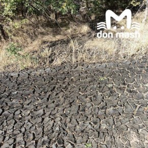 МинЖКХ заявило, что следит за вывозом твердых отходов после закрытия полигона в Семикаракорском районе