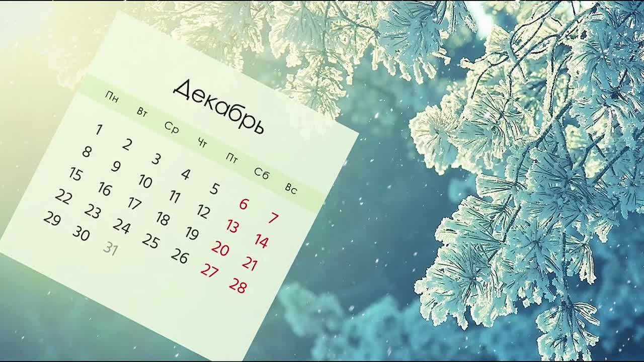 1 декабря истекает срок уплаты имущественных налогов