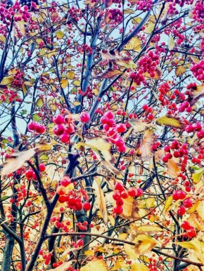 Ростов в объективе.. Сергей Скрипачев