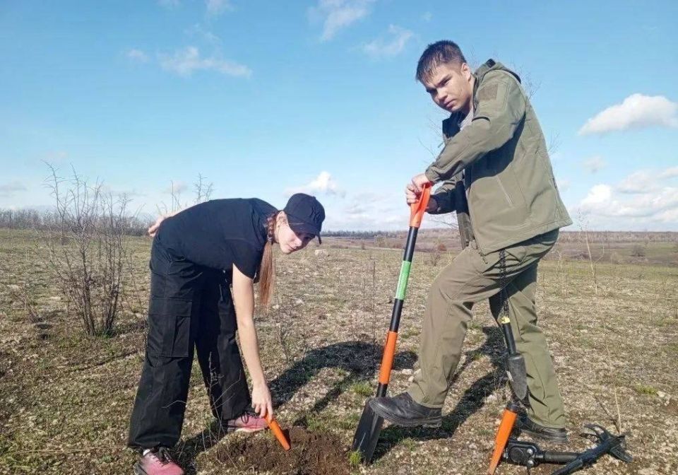 Поисковая работа гимназистов в Самбеке Поисковая работа гимназистов в Самбеке