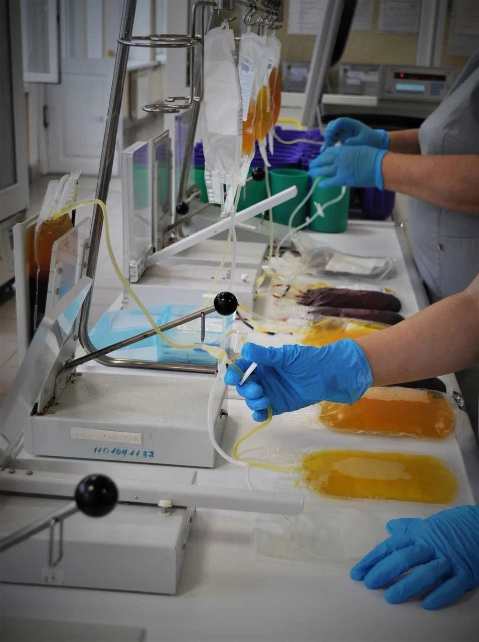 Юрий Слюсарь: Подписал распоряжение о присвоении звания «Почетный донор Ростовской области» 128 жителям нашей области Юрий Слюсарь: Подписал распоряжение о присвоении звания «Почетный донор Ростовской области» 128 жителям нашей области