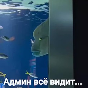 Мы к вам с важной новостью: в нашем чате появились правила