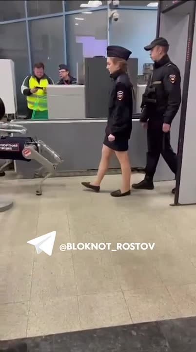 А вы видели нового «охранника» на вокзале в Ростове?