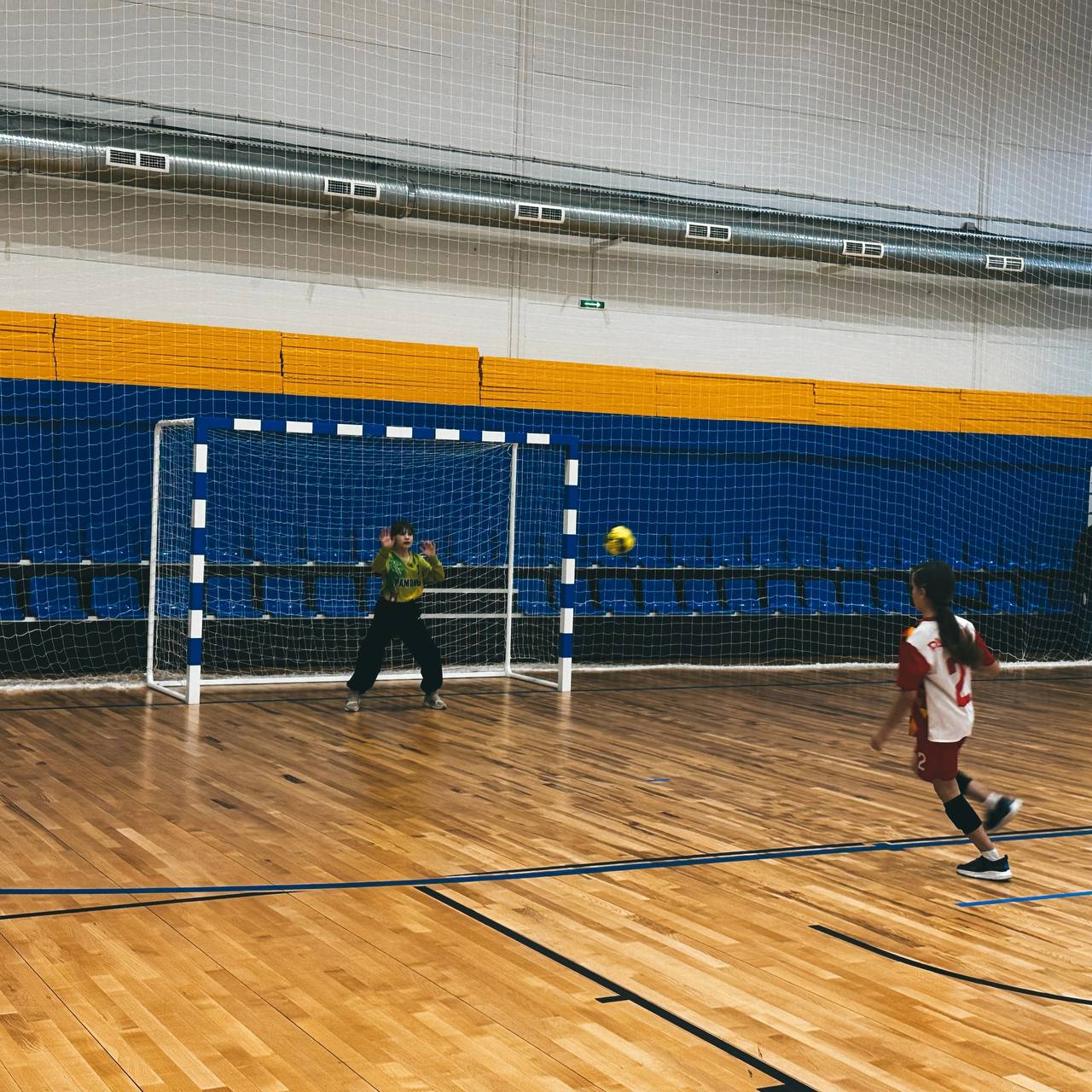 Третий год подряд гандбольный турнир памяти Владимира Николаевича Пелевина стартовал в новом физкультурно-оздоровительном комплексе стадиона «Ермак» № 2. В соревнованиях среди девочек до 12 лет приняли участие более 180 юных... Третий год подряд гандбольный турнир памяти Владимира Николаевича Пелевина стартовал в новом физкультурно-оздоровительном комплексе стадиона «Ермак» № 2. В соревнованиях среди девочек до 12 лет приняли участие более 180 юных...