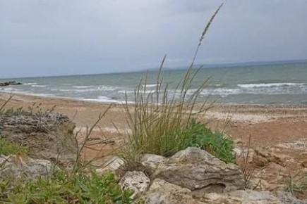 Ученые подвели итоги 18-летнего исследования последствий двух крупных разливов нефти в Черном море — в 2007 и 2024 годах