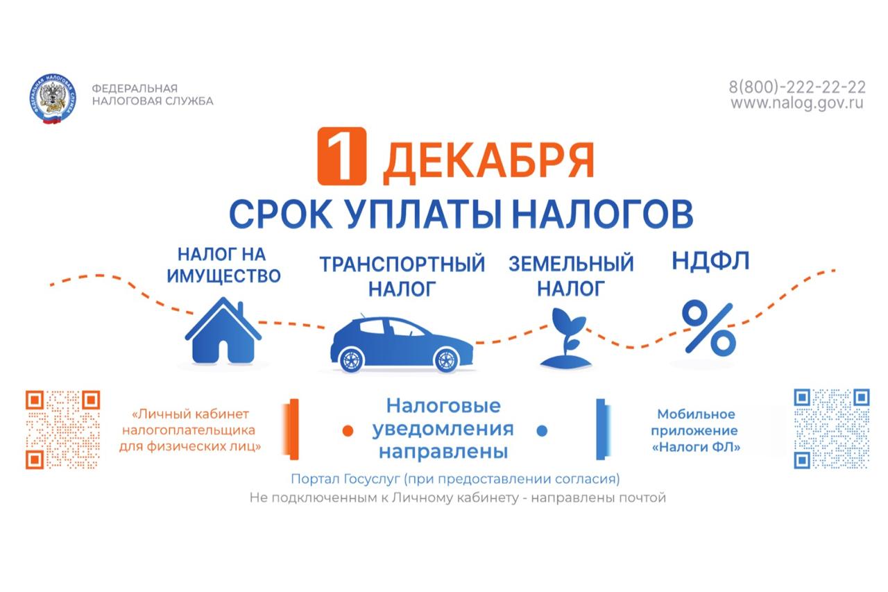 1 декабря истекает срок уплаты имущественных налогов