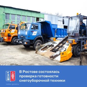 По поручению главы города Александра Скрябина в Ростове проходит «Линейка готовности»