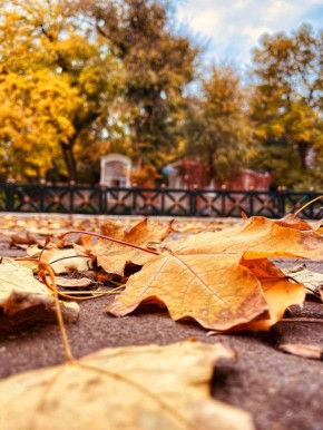 Ростов в объективе.. Сергей Скрипачев
