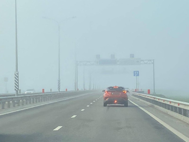 Плотный туман опустился на дороги Ростовской области, предупреждает водителей Госавтоинспекция