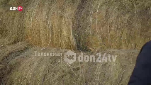 Лавандовые поля и деревянные качели: где сделать красивые фото в парке «Киммерия»?