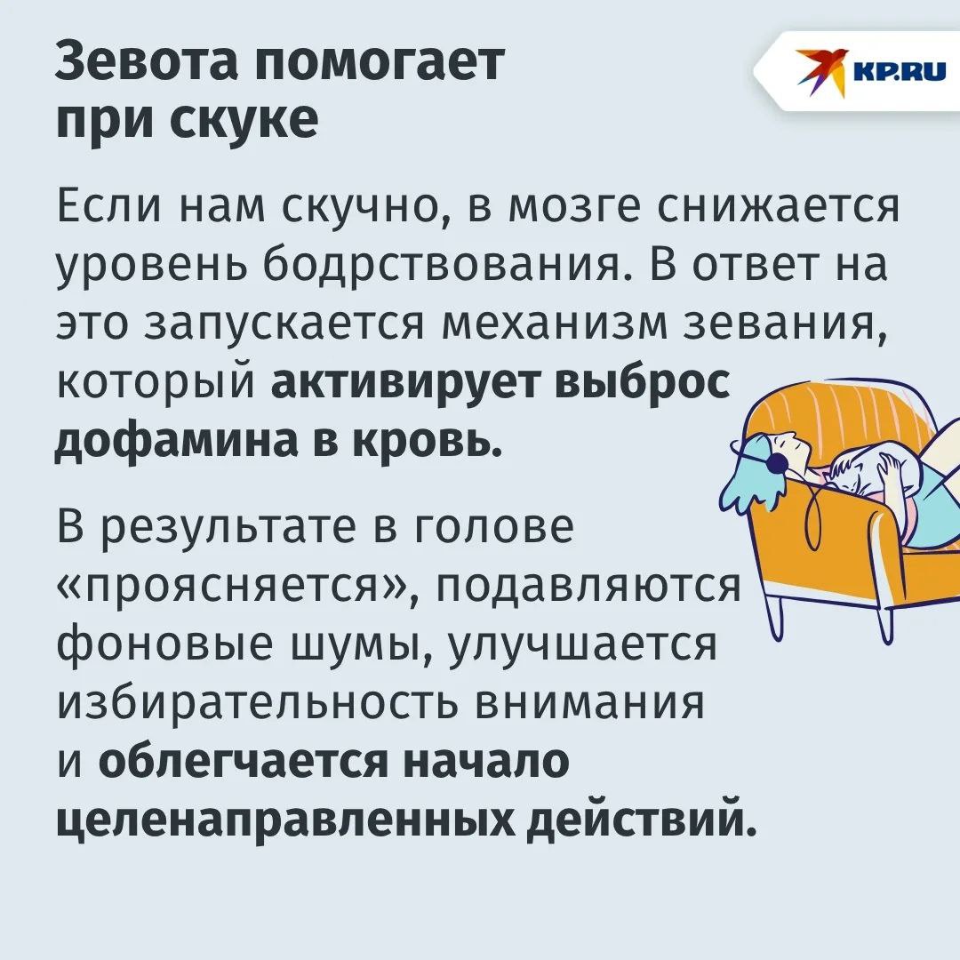 Зевота — это не просто так: ученые поделились интересными фактами Зевота — это не просто так: ученые поделились интересными фактами
