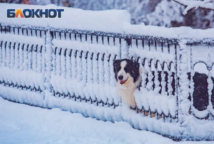 Синоптики рассказали ждать ли снега на Новый год в Ростове