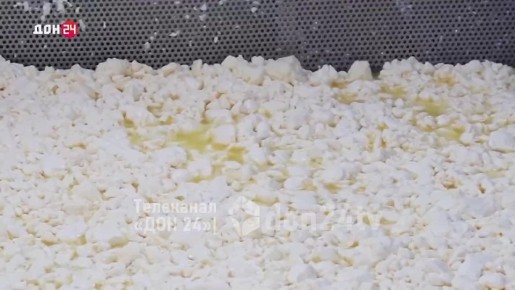 От итальянских сыров до твердых сортов: как развивается сыроварня в Егорлыкском районе