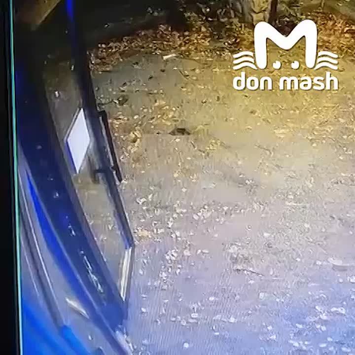 Таганрожец, возомнивший себя бандитом из 90-х, требовал деньги у владельца караоке-бара за "крышу"