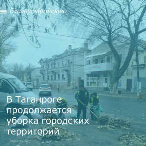 В Таганроге активно ведутся работы по сбору и вывозу опавшей листвы с городских улиц