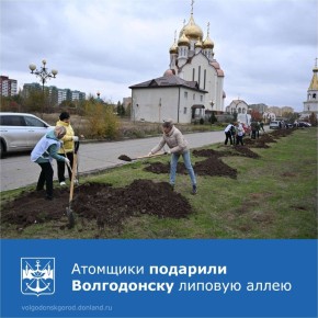 Сотрудники Ростовской АЭС приняли участие в субботнике, посадив в Волгодонске 25 молодых лип