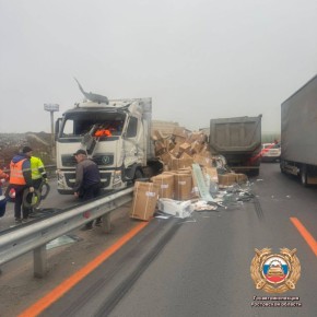 !.  991   -4 &quot;&quot; (    )  ,          