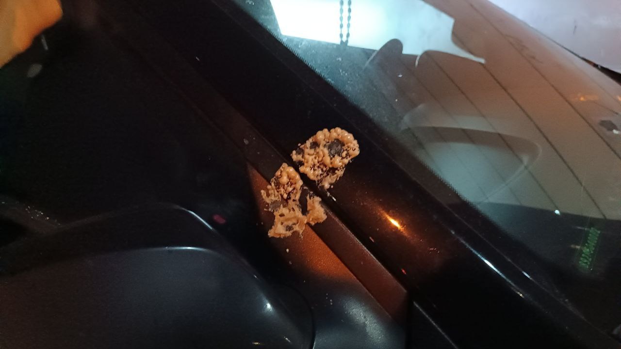 После ремонта рухнувшей стены на Сельмаше рабочие залили монтажной пеной машины жильцов После ремонта рухнувшей стены на Сельмаше рабочие залили монтажной пеной машины жильцов