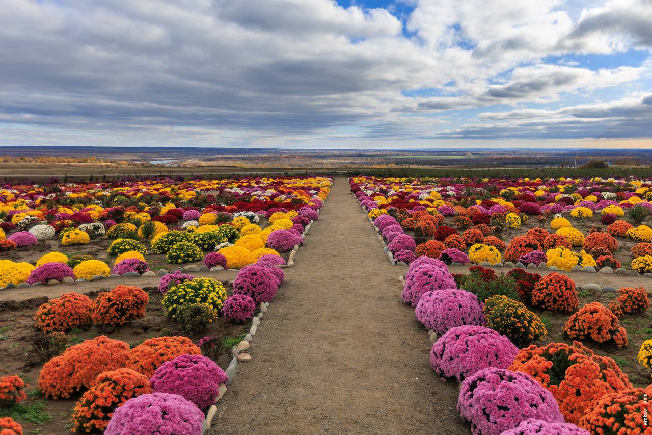 Осень — не время для грусти, это время балов! Осень — не время для грусти, это время балов!