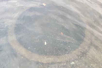 В реке под Ростовом нашли огневую точку времен Великой Отечественной войны