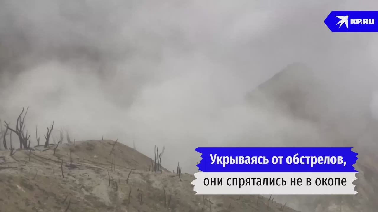 Из разведчика – в цветочники: Ветеран СВО вернулся с передовой и начал выращивать розы на продажу