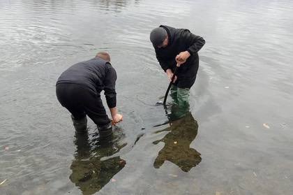 В реке под Ростовом нашли огневую точку времен Великой Отечественной войны В реке под Ростовом нашли огневую точку времен Великой Отечественной войны