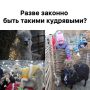 12 ноября отмечается День кучеряшек