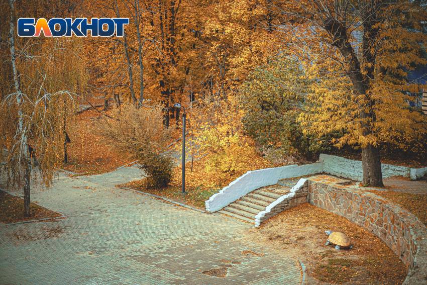 Тайна под плащом: гуляем по парку Горького золотой осенью по-взрослому Тайна под плащом: гуляем по парку Горького золотой осенью по-взрослому