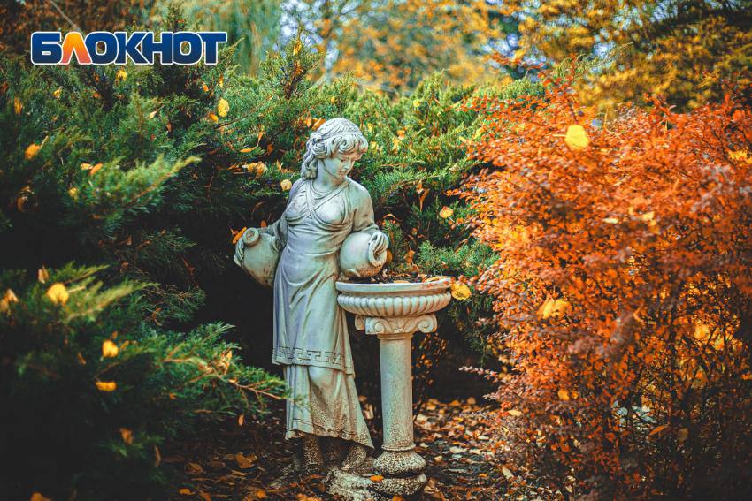 Тайна под плащом: гуляем по парку Горького золотой осенью по-взрослому Тайна под плащом: гуляем по парку Горького золотой осенью по-взрослому