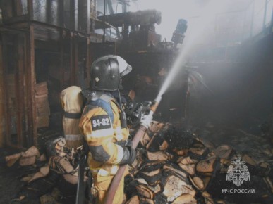 #?.   12  2025  -         :