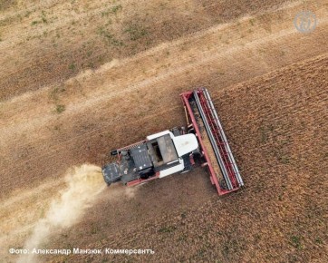 С 2026 года правительство Ростовской области планирует отменить ряд мер финансовой поддержки агропромышленного комплекса