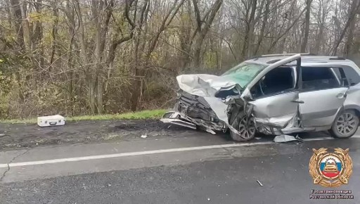 Зерноградские полицейские устанавливают обстоятельства смертельного ДТП