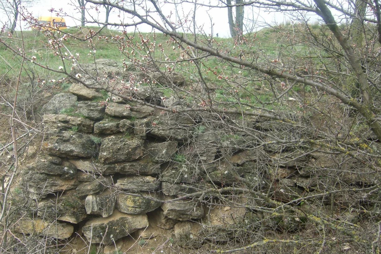 Спасательные археологические исследования древнейших из обнаруженных в Восточной Европе каменных крепостей завершили в Советском районе Ростова-на-Дону Спасательные археологические исследования древнейших из обнаруженных в Восточной Европе каменных крепостей завершили в Советском районе Ростова-на-Дону