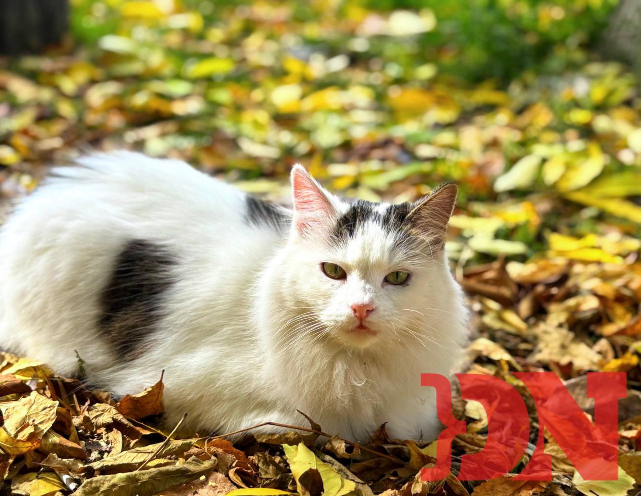 На выходных в Ростовской области ожидается потепление до +15 °С