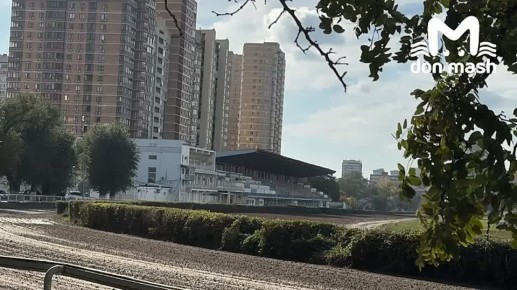 Конники просят отсрочить выселение из ростовского ипподрома и сохранить жизнь лошадям