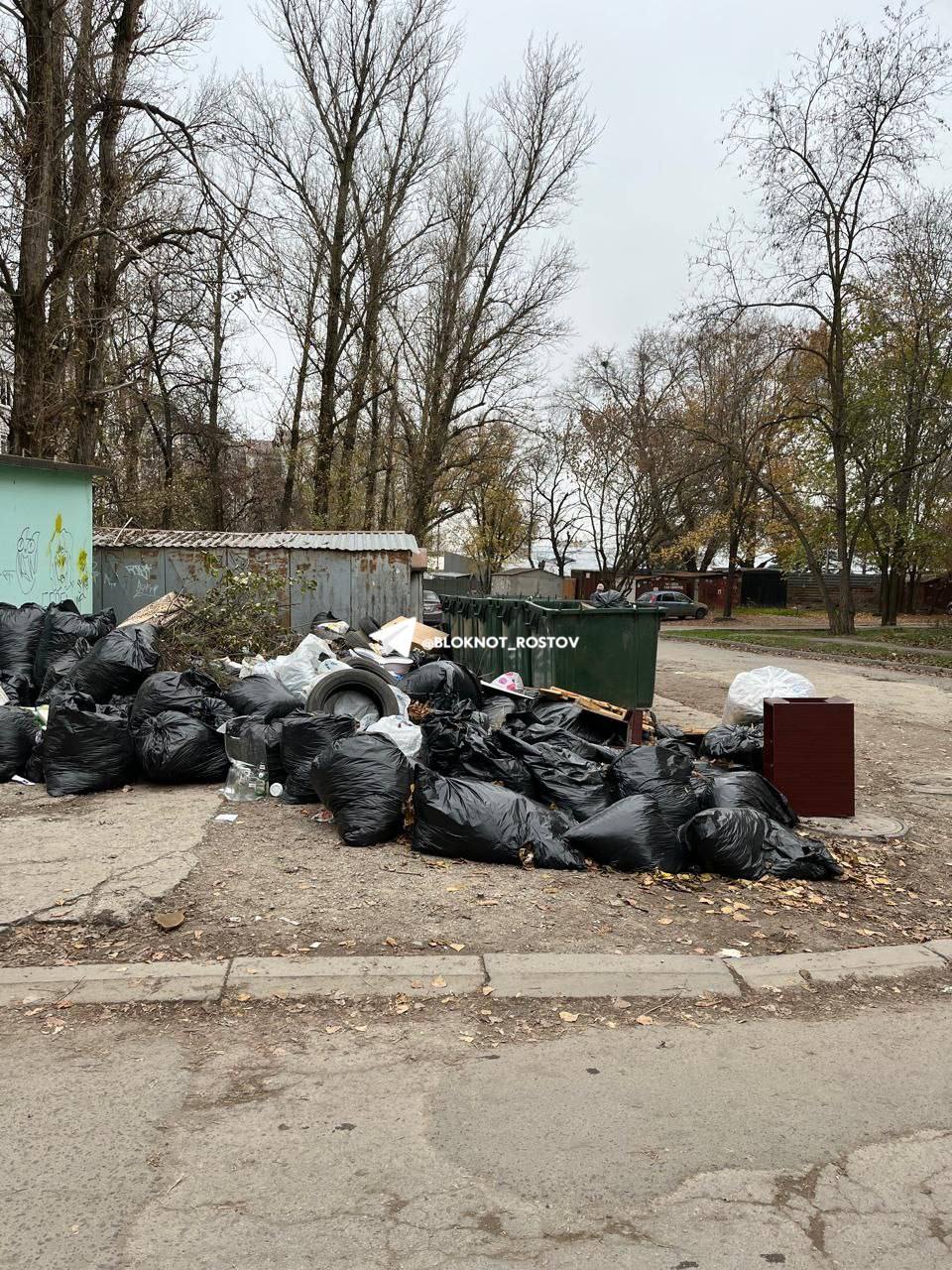 В Ростове жители Таганрогской 145/1 вновь вынуждены жить около гор мусора В Ростове жители Таганрогской 145/1 вновь вынуждены жить около гор мусора