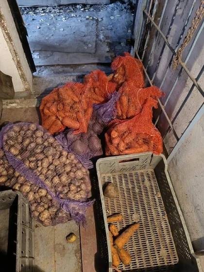 В городе Шахты неизвестный украл из хозяйственной постройки крупный запас овощей, заготовленных местной жительницей на зиму