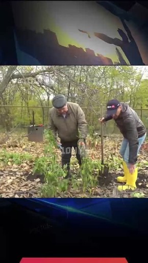 Как сохранить перец до весны?