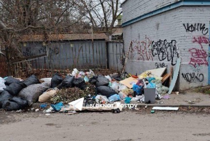 Мусор на улицах Ростова: где проблемы и как их решить?