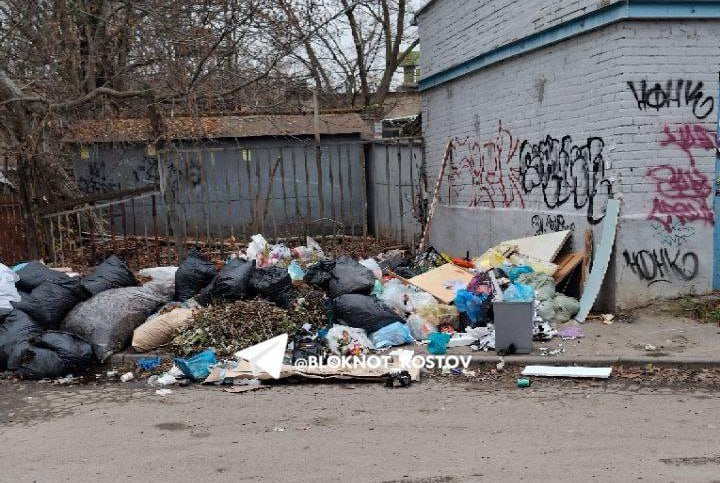Мусор на улицах Ростова: где проблемы и как их решить?