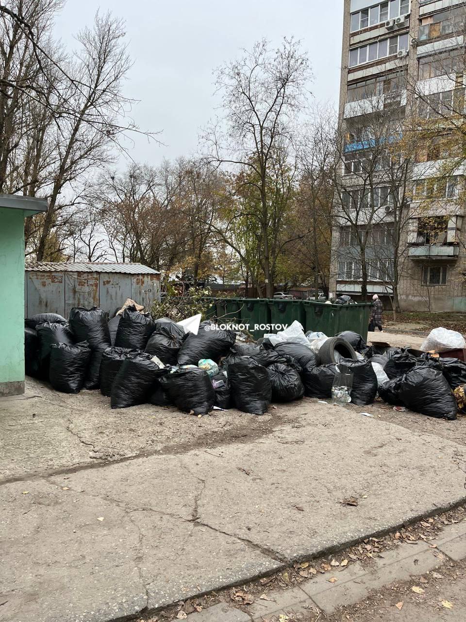 В Ростове жители Таганрогской 145/1 вновь вынуждены жить около гор мусора