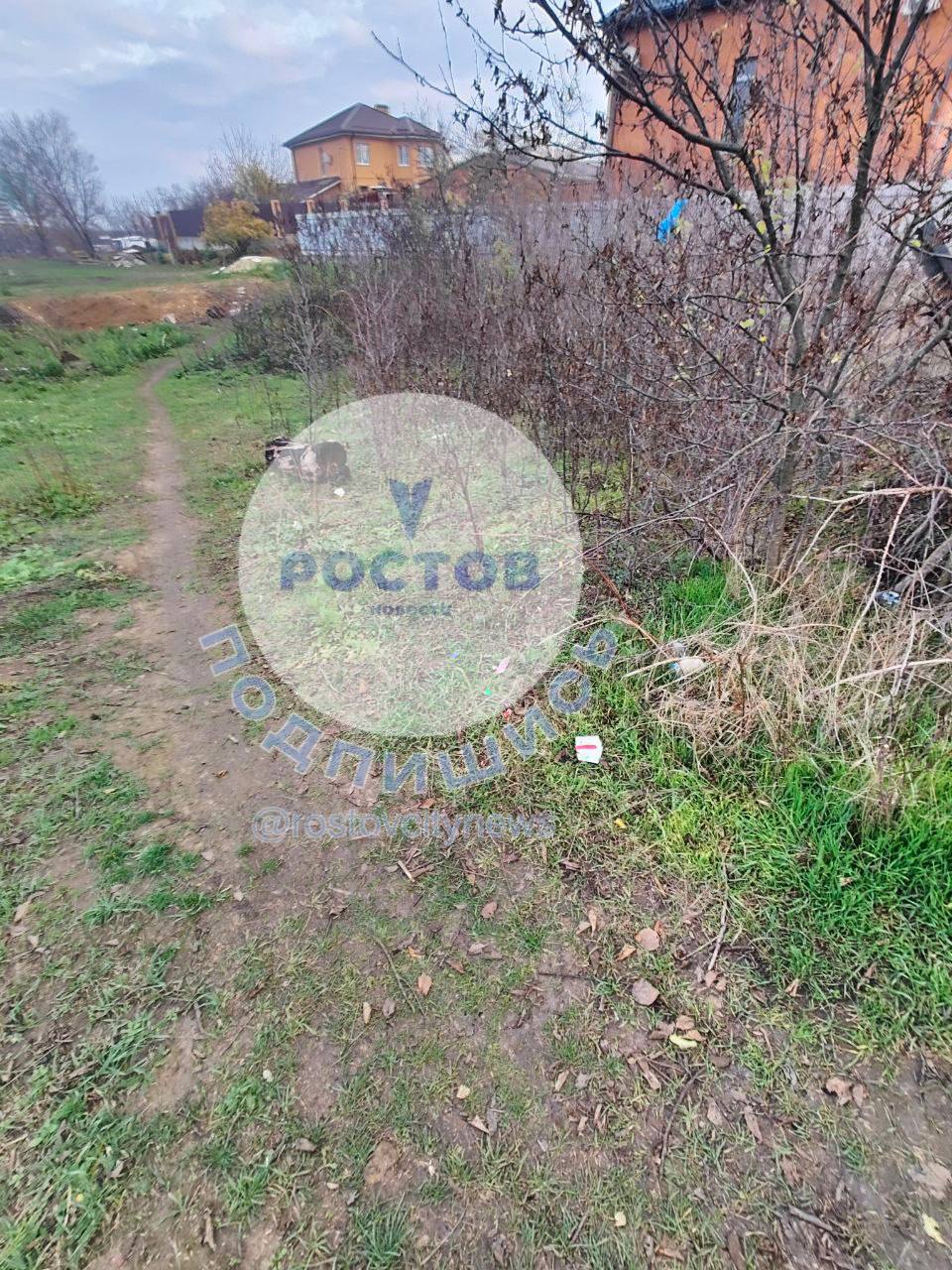 Подозрительную «стопку денег» нашёл ребенок рядом с Суворовским Подозрительную «стопку денег» нашёл ребенок рядом с Суворовским