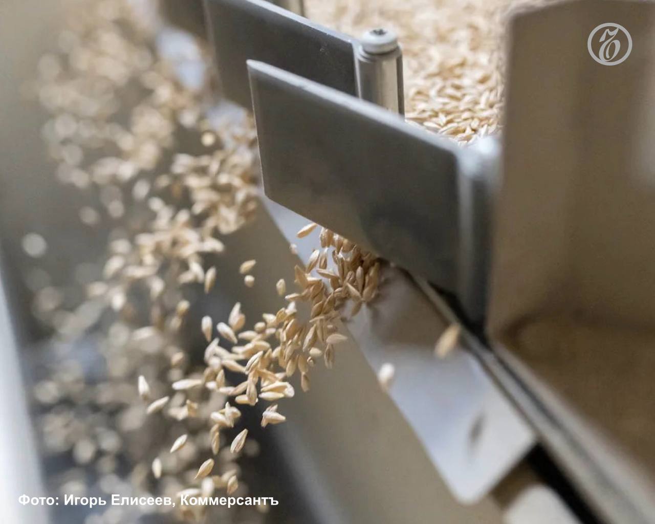 В январе-октябре 2025 года объем отгрузки пшеницы сельхозпредприятиями Ростовской области снизился более чем на треть относительно показателя аналогичного периода прошлого года, до 3,7 млн т. Соответствующая информации...