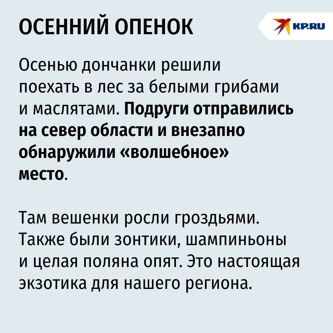 «90 килограммов за одну вылазку!»: Как ростовчанка вместе с подругами штурмует грибные тайники области «90 килограммов за одну вылазку!»: Как ростовчанка вместе с подругами штурмует грибные тайники области