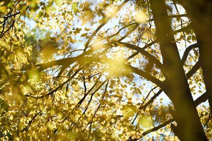 Резкое потепление ожидается в Ростовской области в период с 17 по 23 ноября